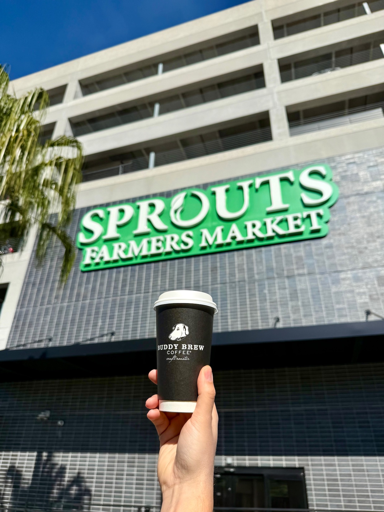 BBC x Sprouts_3